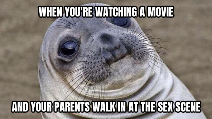 Awkward Moment Seal preview