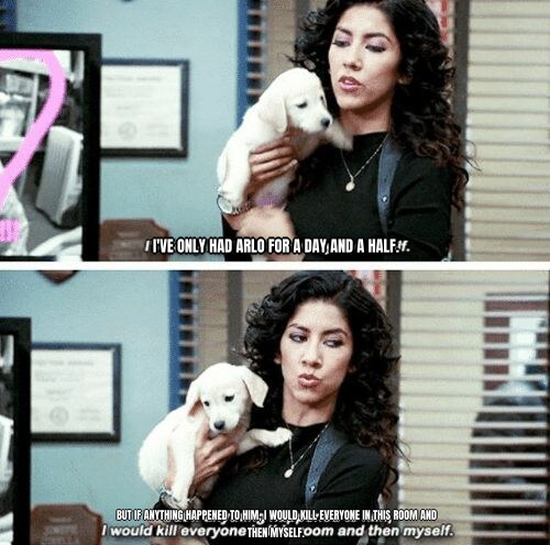 I've only had Arlo for a day and a half preview