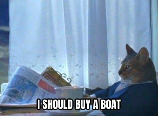 I Should Buy a Boat Cat preview