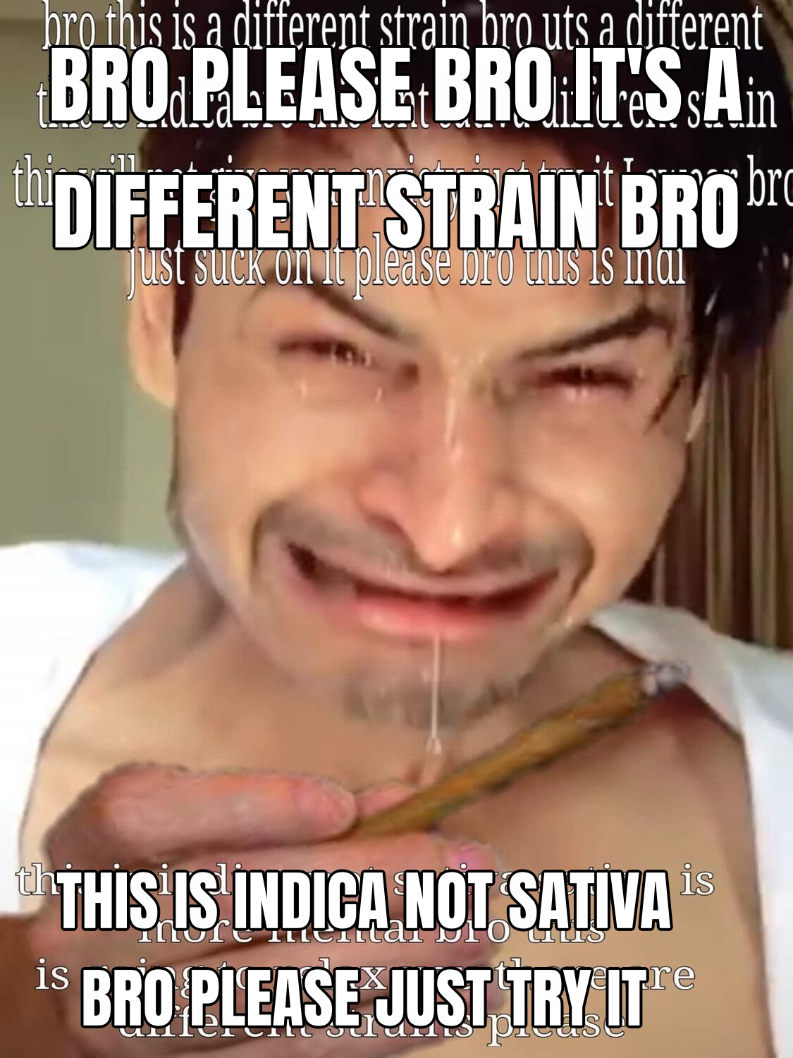 Bro Please Bro preview