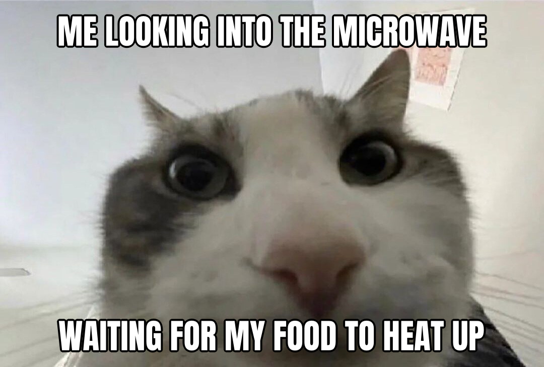 Cat looks inside preview