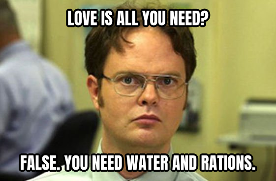 Schrute Facts preview