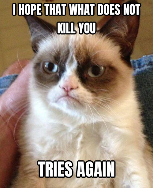 Grumpy Cat preview