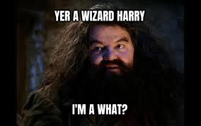 Hagrid Yer a Wizard preview