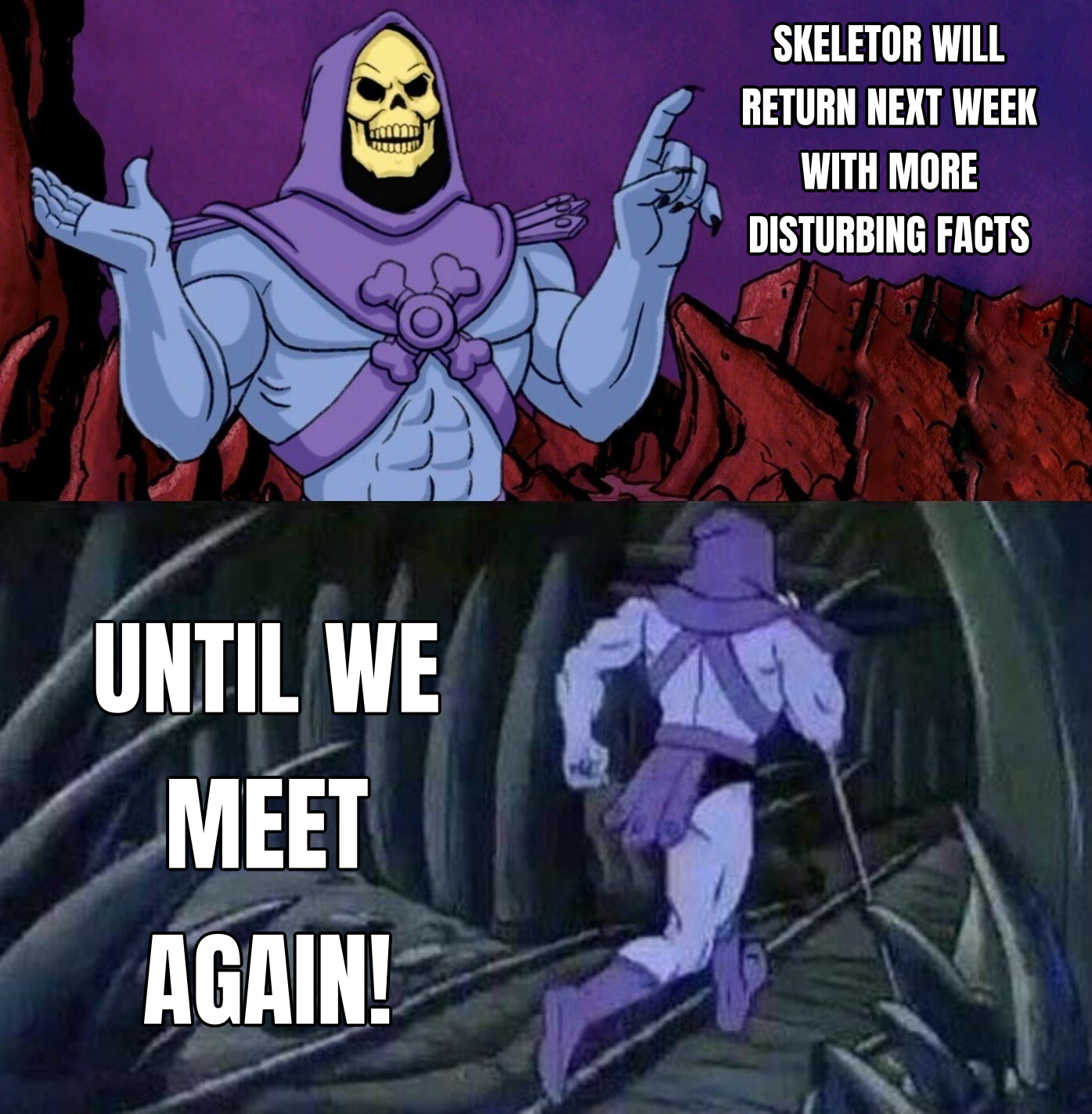 Skeletor Facts preview