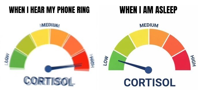 High vs Low Cortisol preview