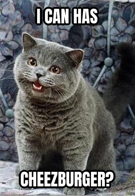 I can has cheezburger cat preview