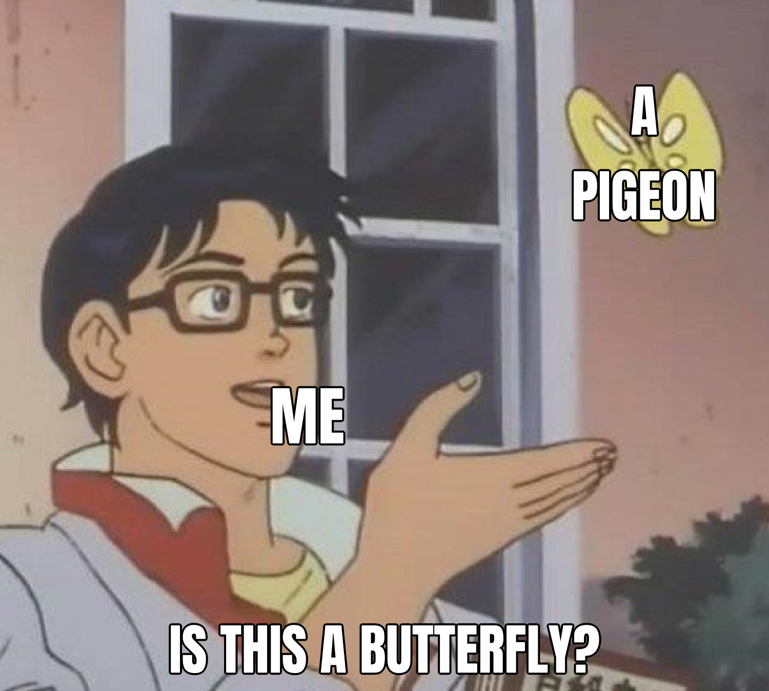 Is This a Pigeon? preview