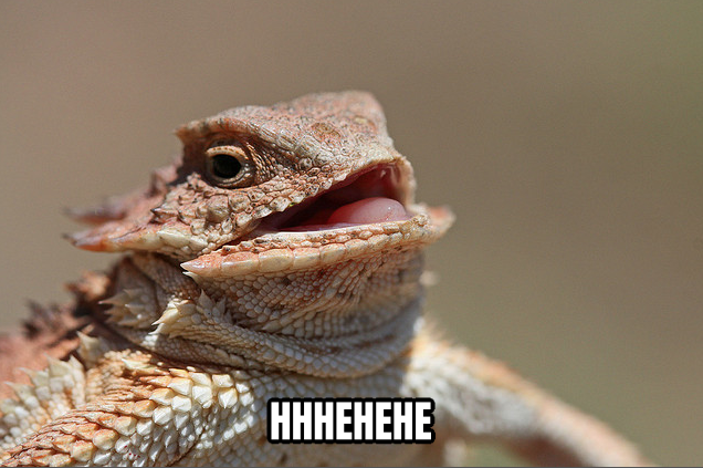 Laughing Lizard preview