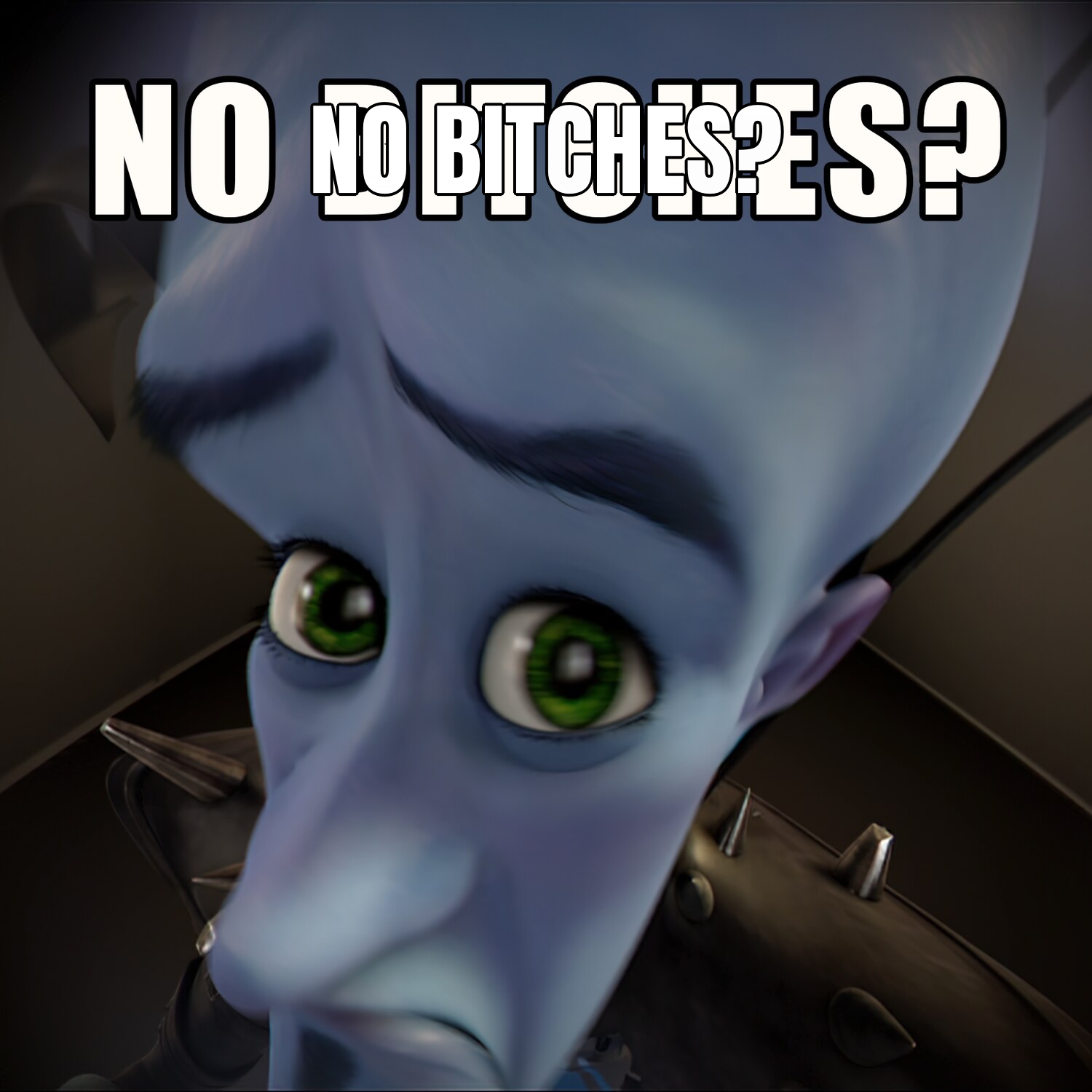 Megamind No Bitches preview