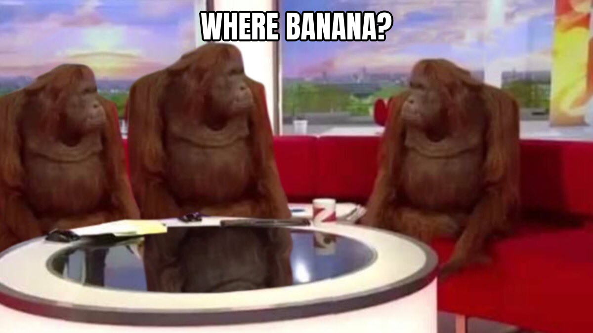 Orangutan Interview preview