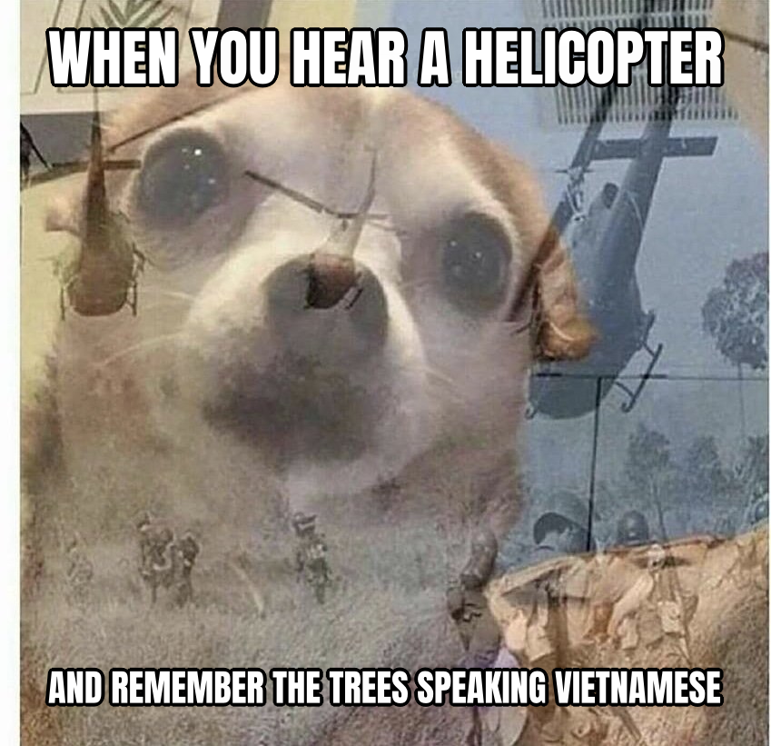 PTSD Chihuahua preview