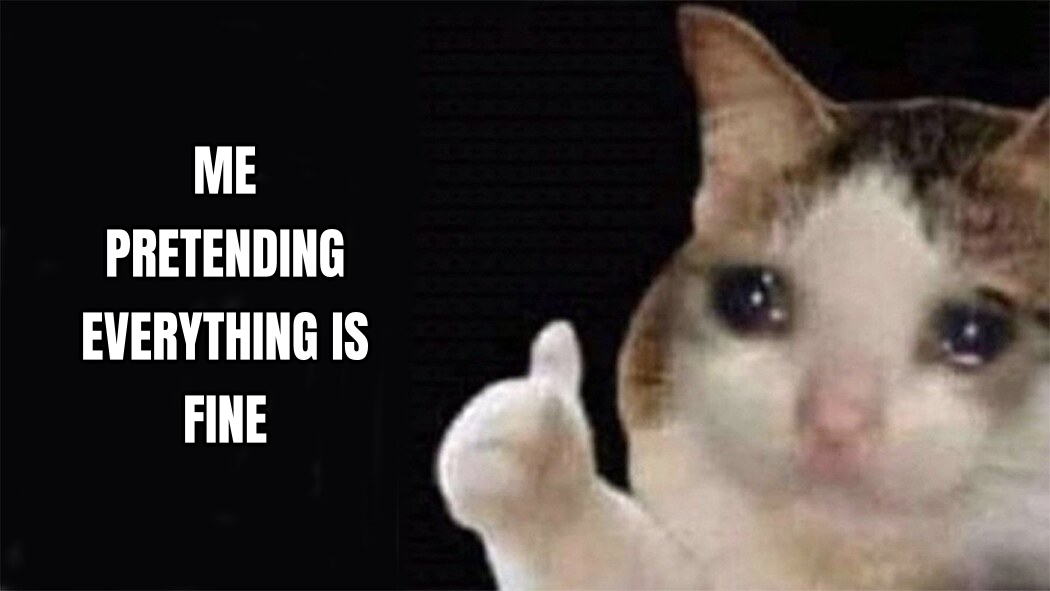 Sad Thumbs Up Cat preview