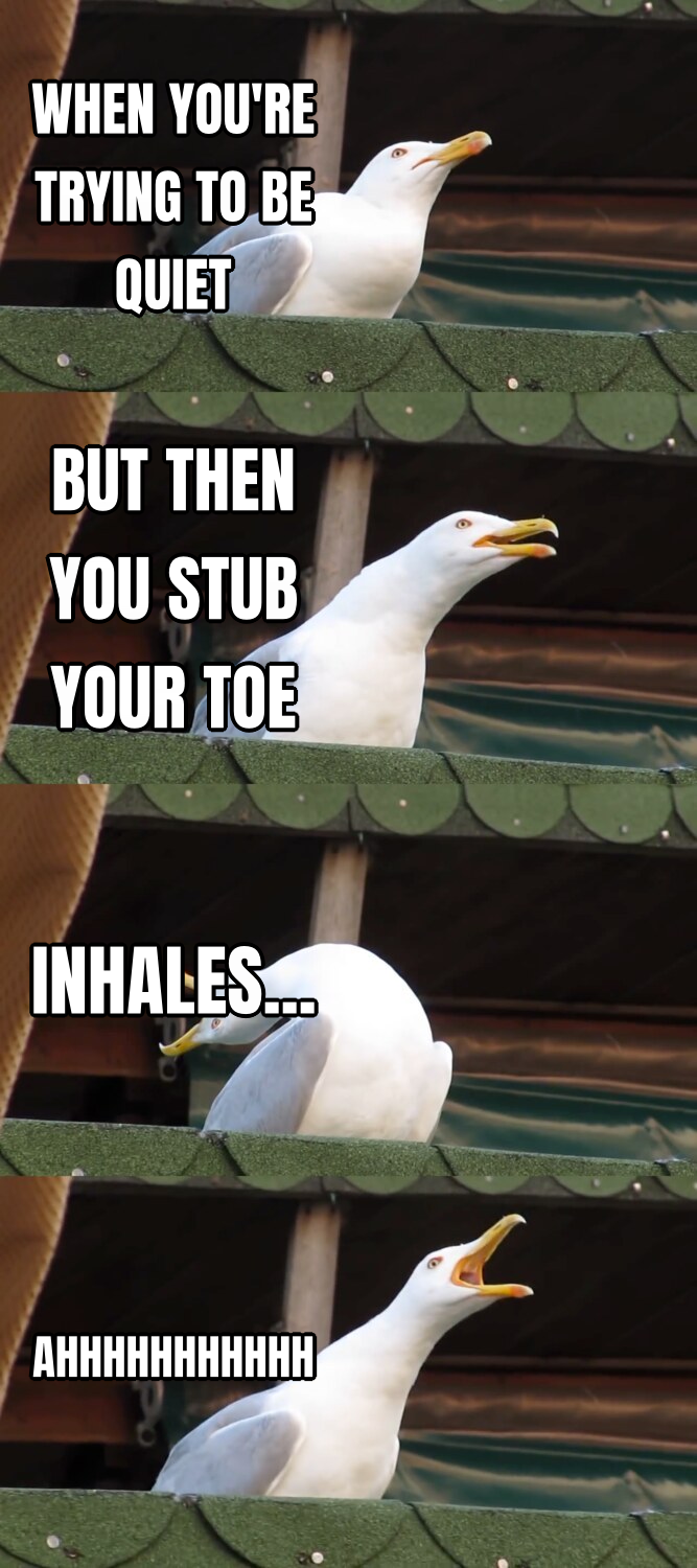 Screaming Seagull preview