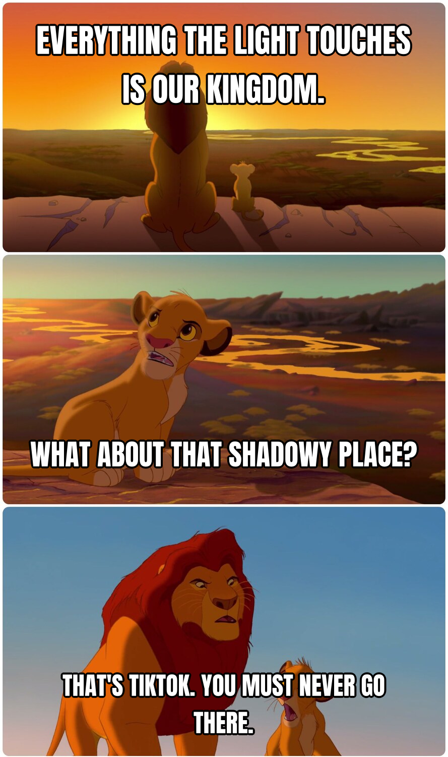 Simba Shadowy Place preview
