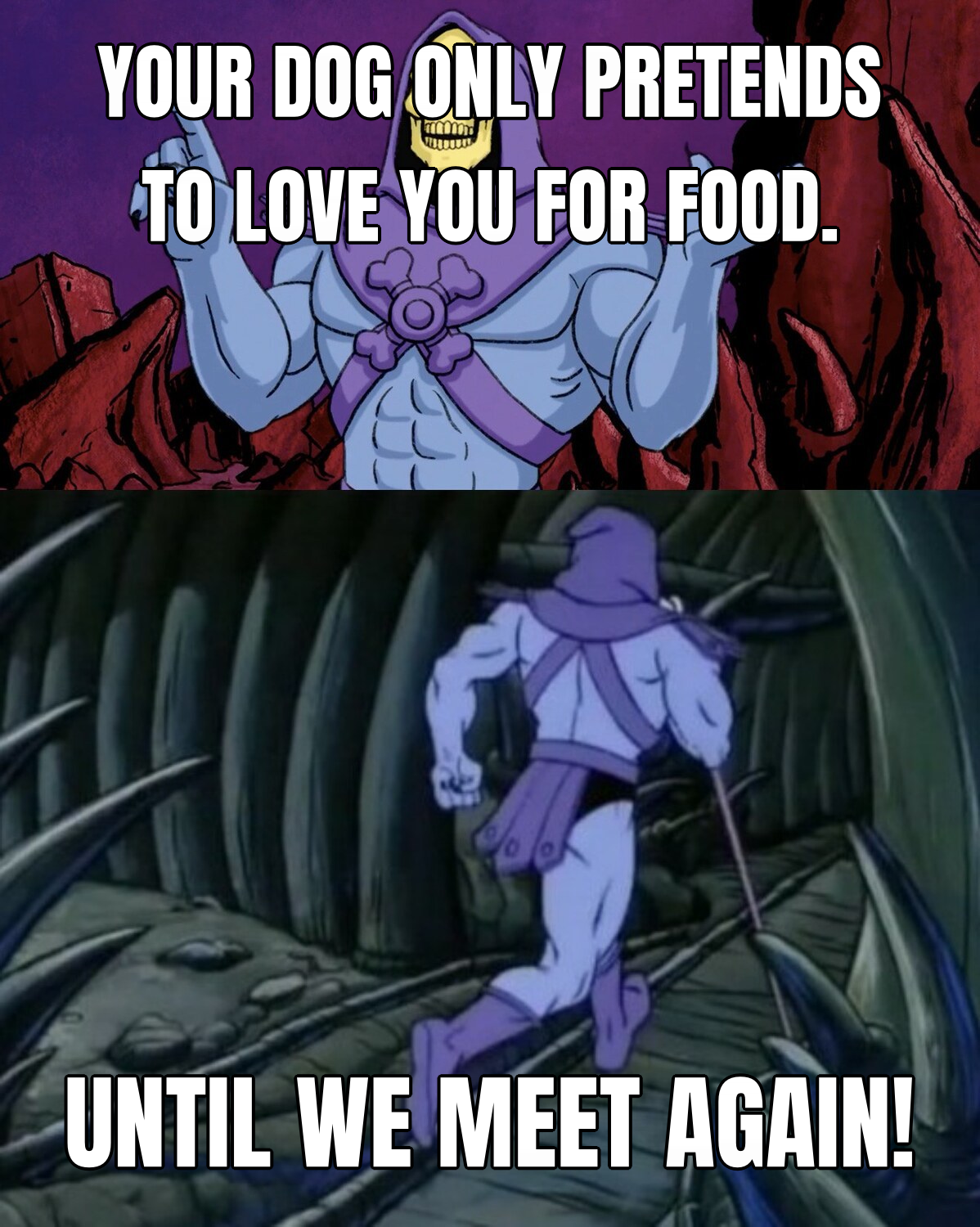 Skeletor Until We Meet Again preview