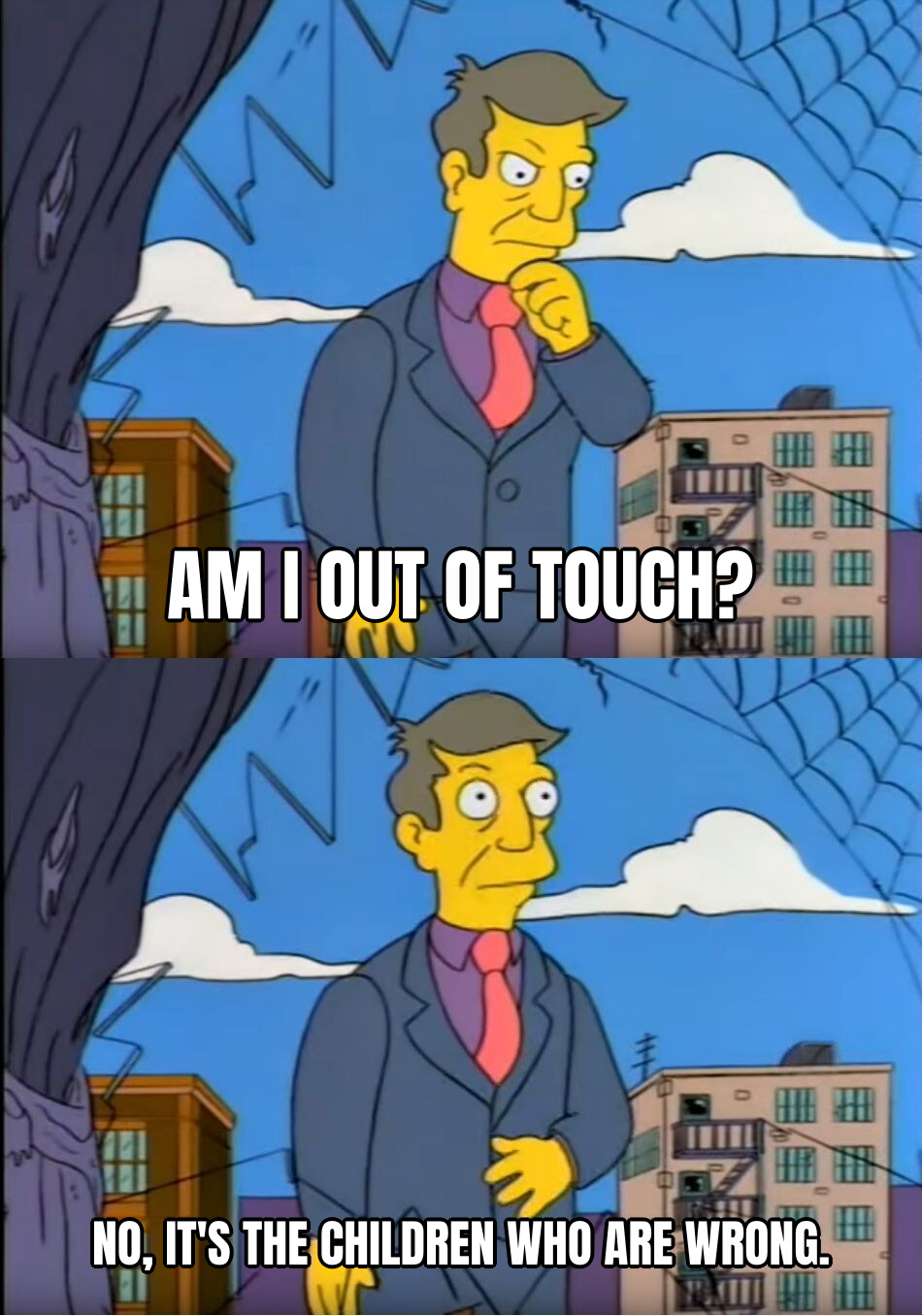 Skinner Out Of Touch preview