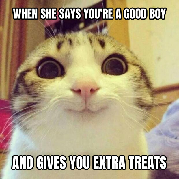 Smiling Cat preview