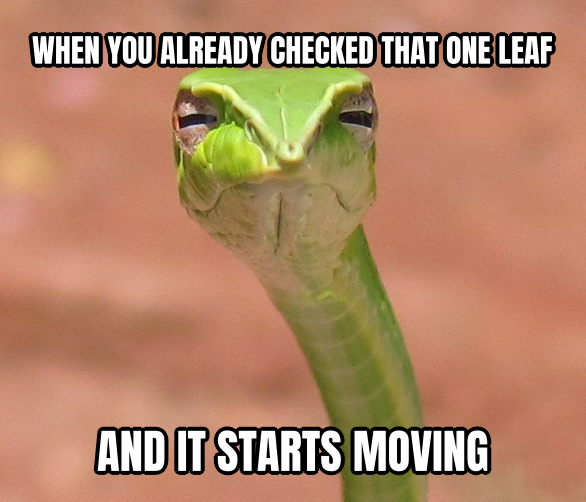 Skeptical Snake preview