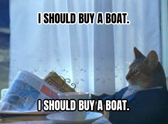 I Should Buy a Boat Cat preview