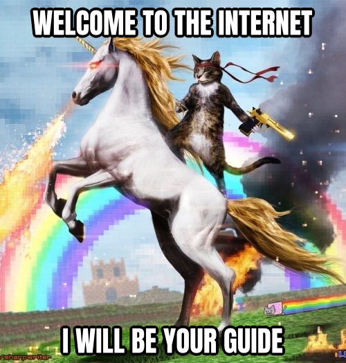 Welcome To The Internets preview