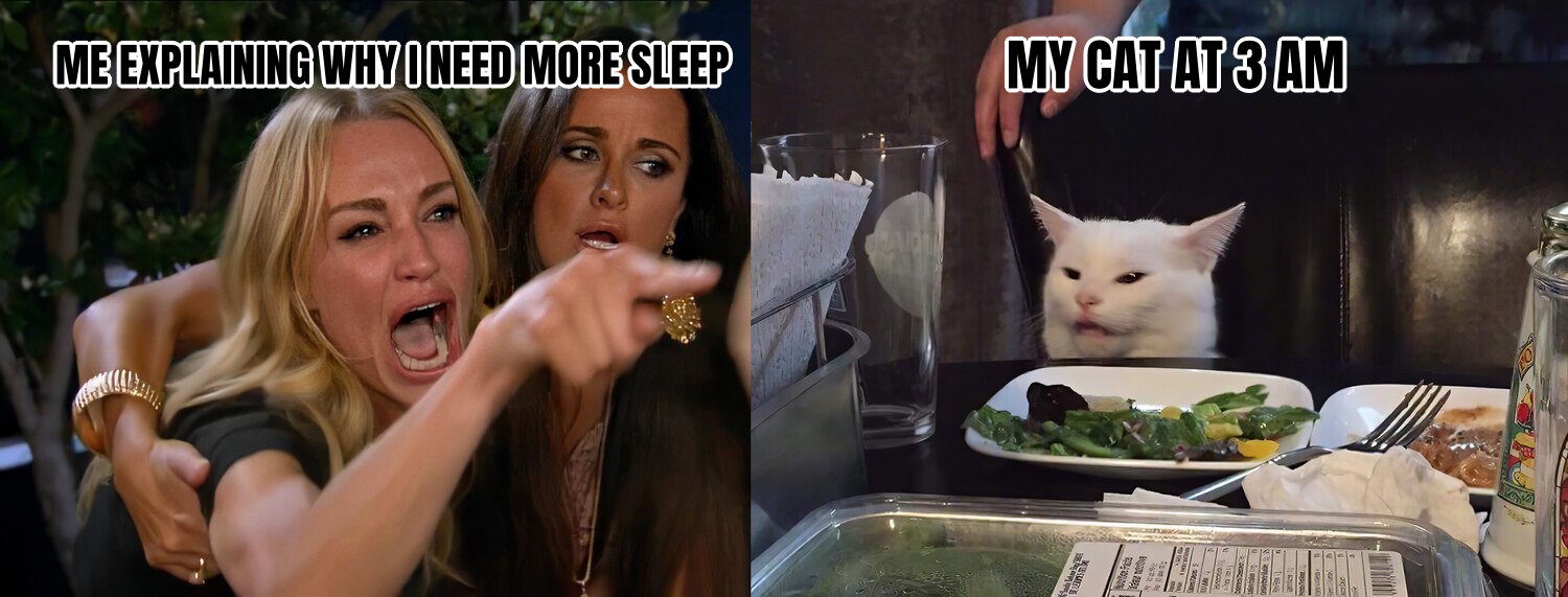 Woman Yelling At Cat preview