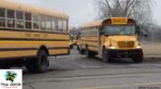 A Train School Bus