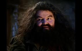 Hagrid Yer a Wizard