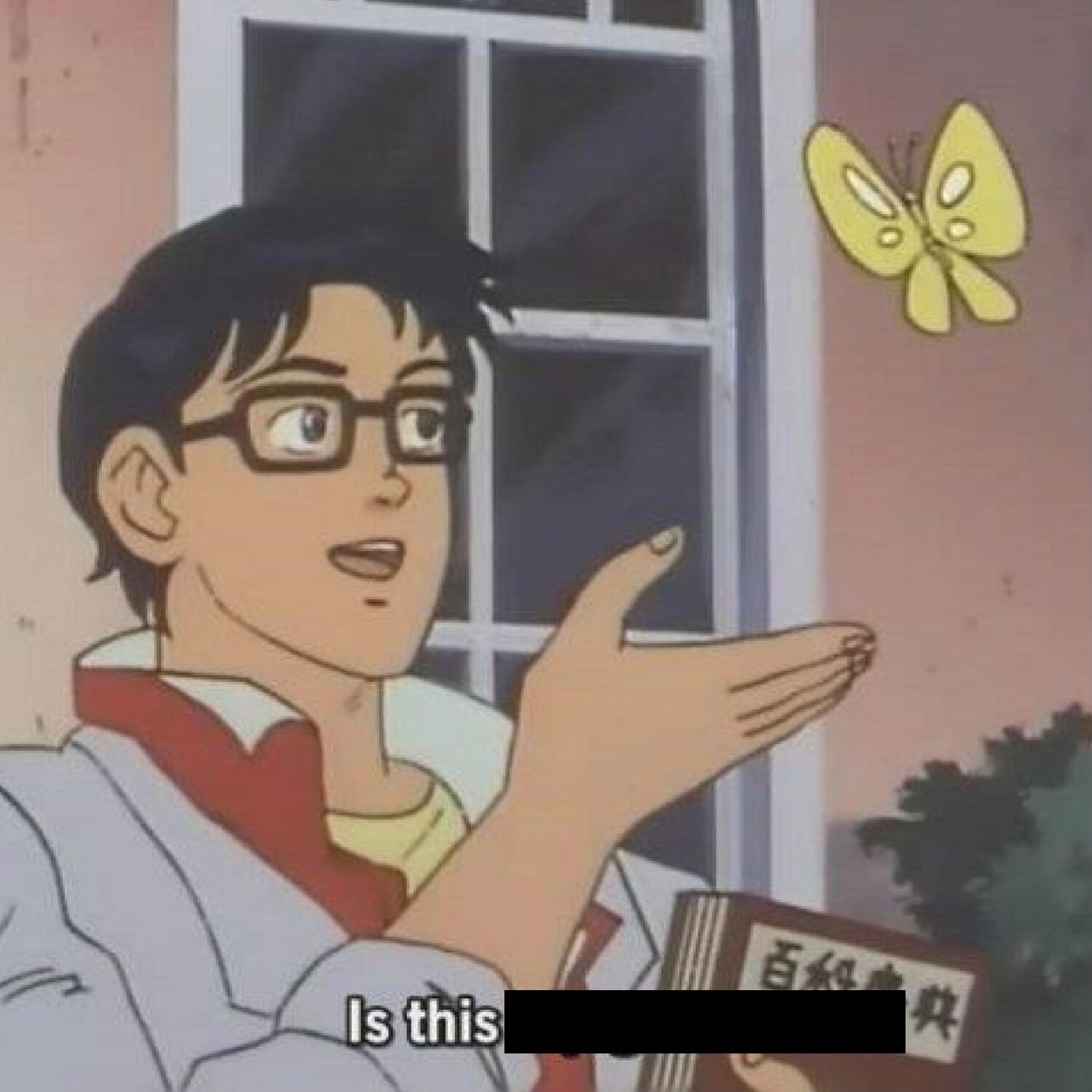 Is This A Pigeon