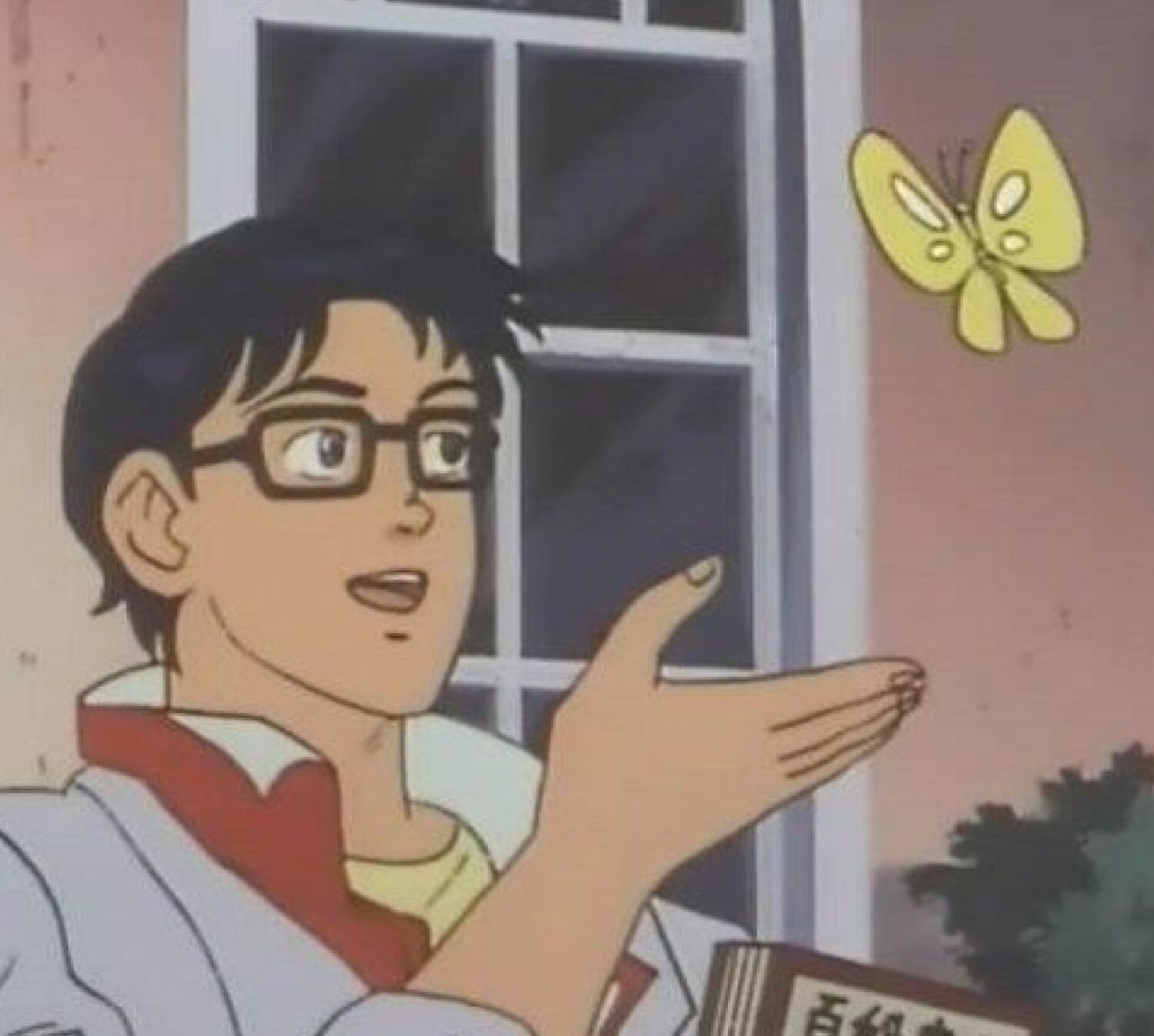 Is This a Pigeon?