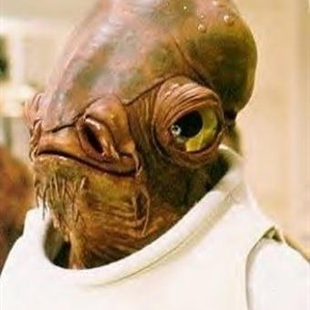 It's A Trap!