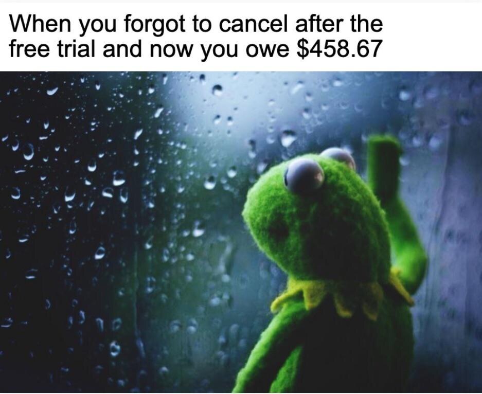 Kermit Window