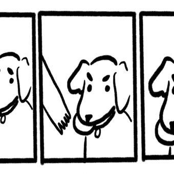 No Take, Only Throw