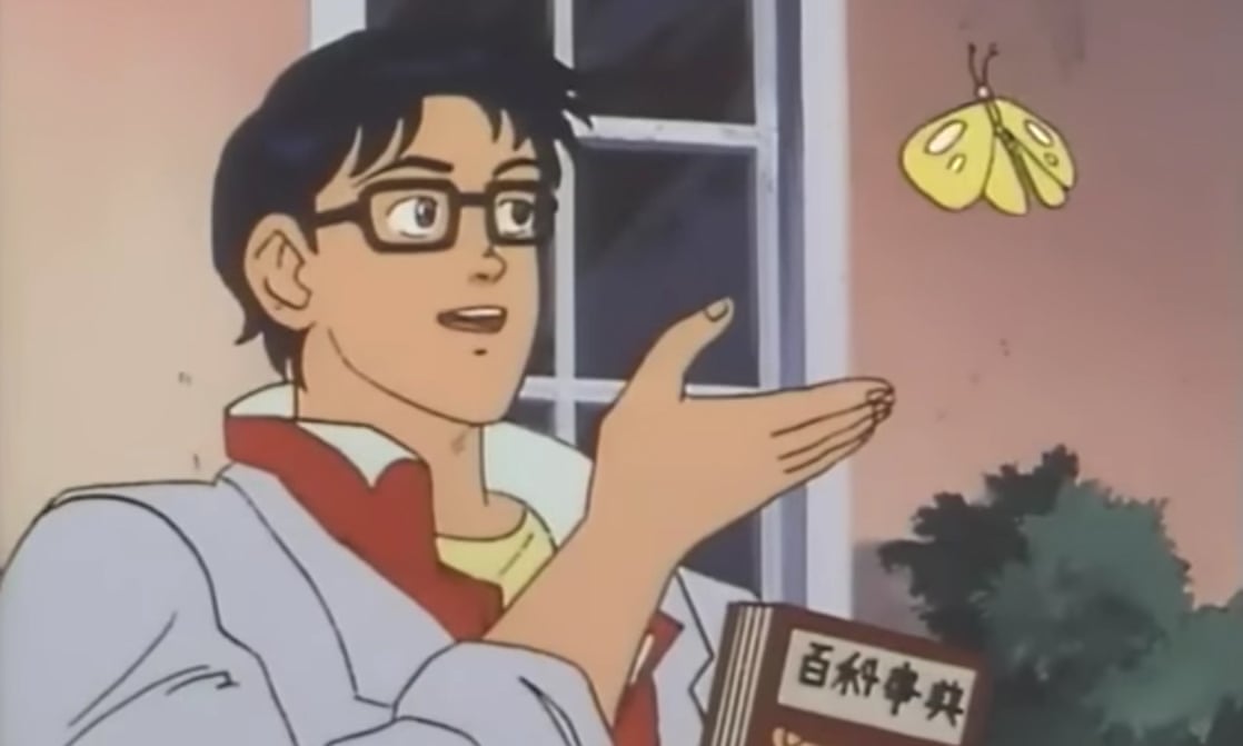Is This a Pigeon?