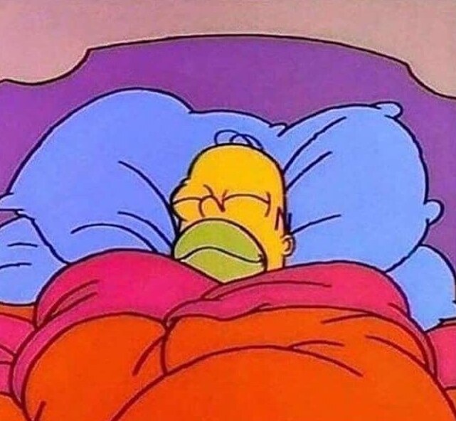 Homer Simpson Sleeping