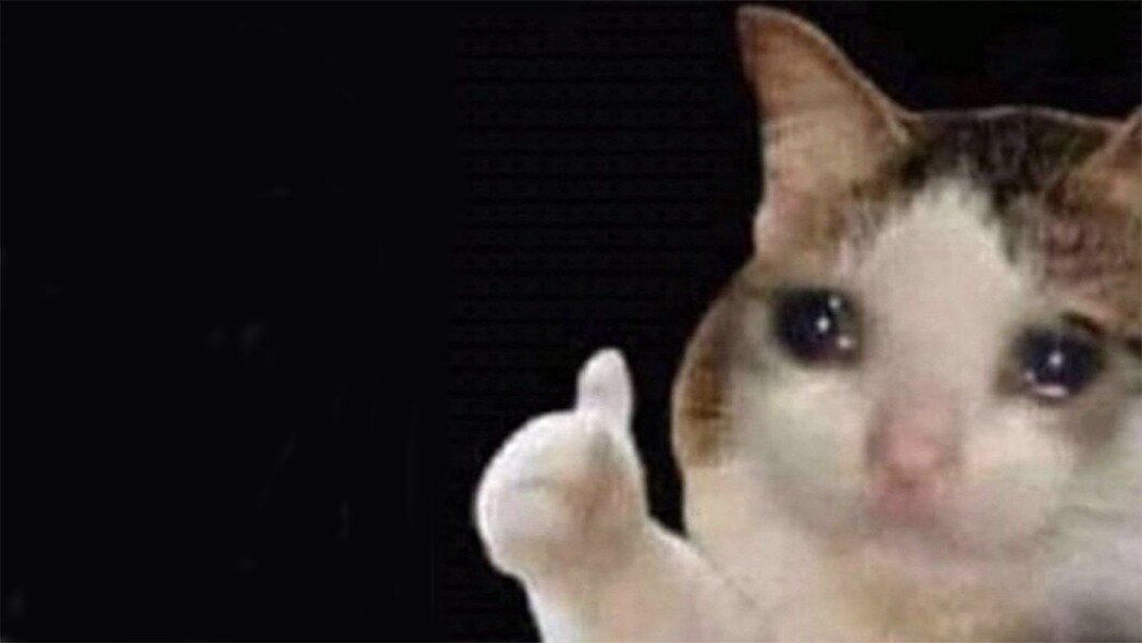 Sad Thumbs Up Cat