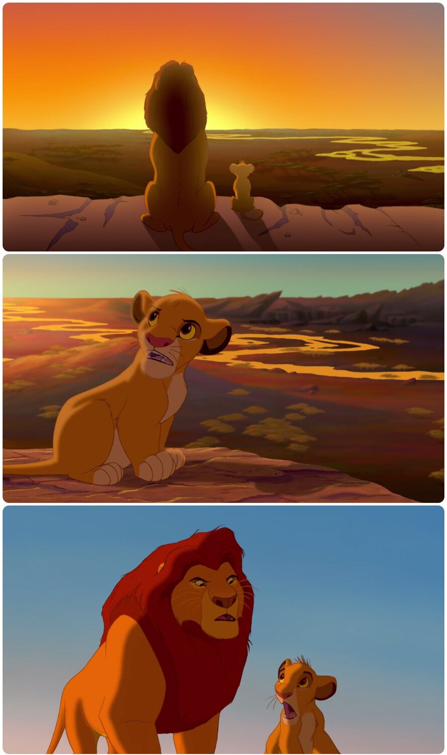 Simba Shadowy Place