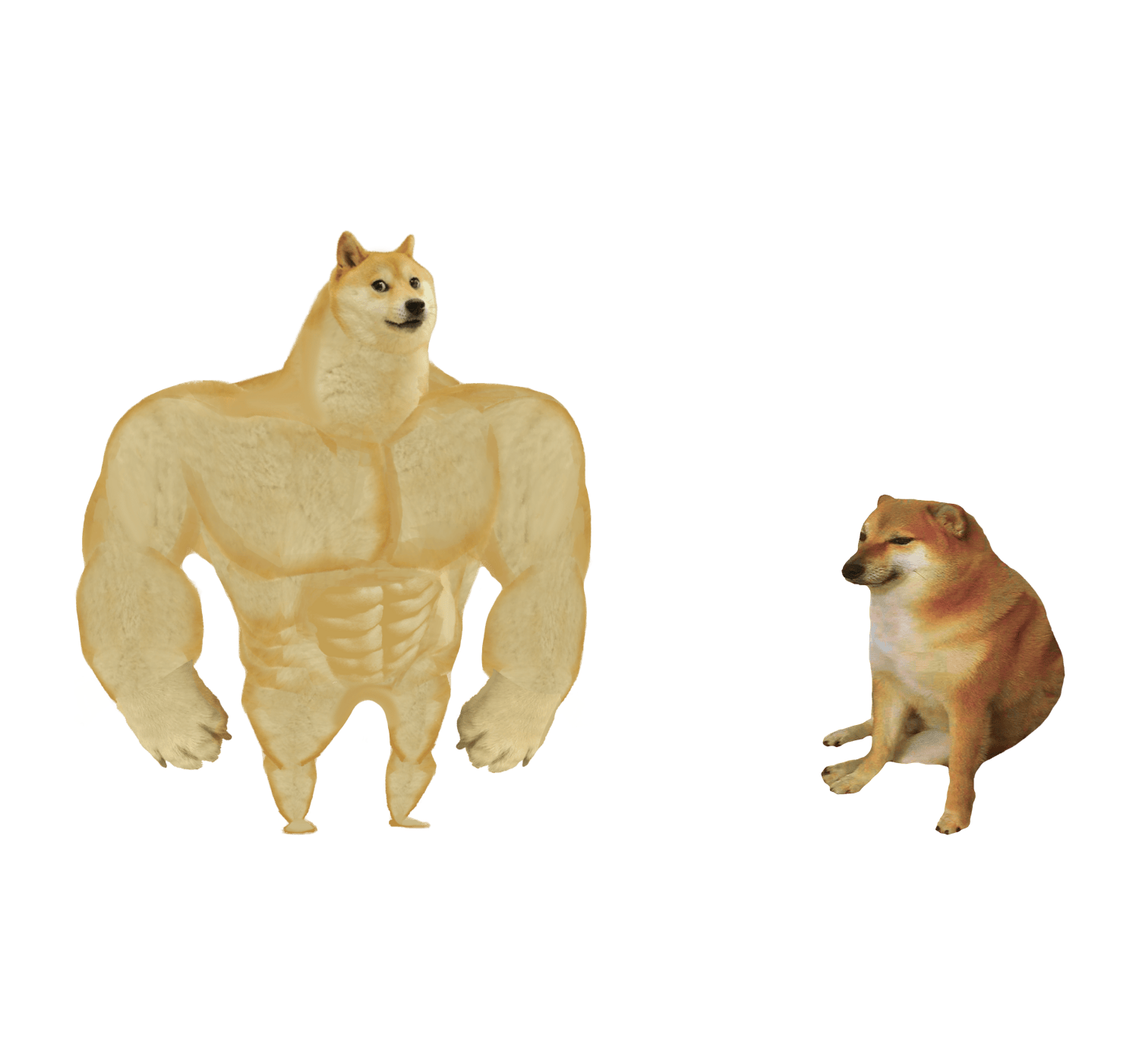 Strong dog vs weak dog