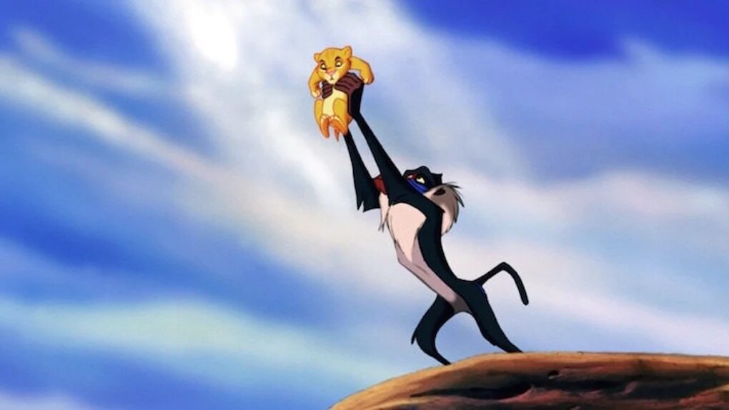 The Circle of Life