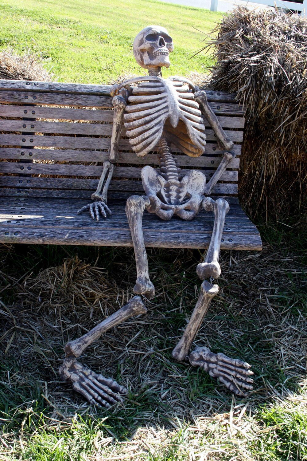 Waiting Skeleton