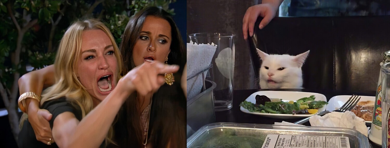 Woman Yelling At Cat